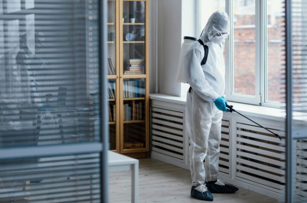 Fumigación de pulgas en Bilbao